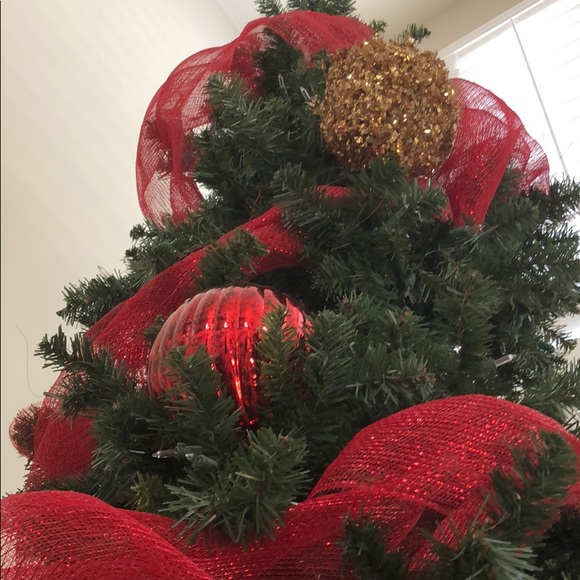 Meet your Posher, Ry - Picture 1 of 1